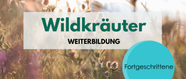 Event-Image for 'Wildkräuter Weiterbildung für Fortgeschrittene'