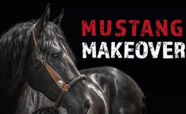 Mustang Makeover Deutsche Bank Stadion Tickets