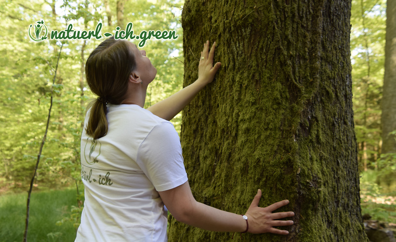 Event-Image for 'Waldbaden - Den Wald mit allen Sinnen erleben'