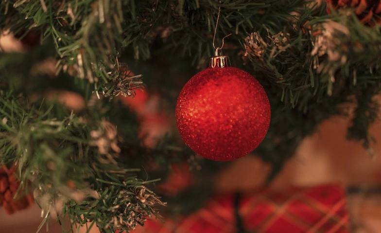 Event-Image for 'Winterlicher Märchenabend im Französischen Dom'