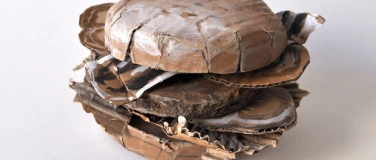 Event-Image for 'Cut it! - Familienworkshop mit Nicolas Berni&egrave;re'