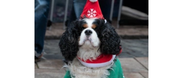 Event-Image for '7. Neunkircher Hundeweihnachtsmarkt'