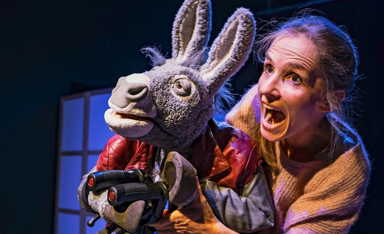 Herr Fässler und die Stürme der Liebe Tickets