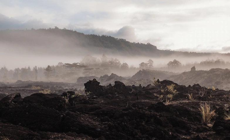 Elysium New Moon Cacao &amp; Breathwork Journey CALM &amp; DIRECTION Tickets