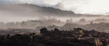 Event-Image for 'Elysium Mother’s Day Cacao & Breathwork Journey'