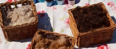 Event-Image for 'Seifen sieden mit flauschigen Alpakas'