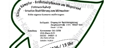 Event-Image for 'Fototour: &bdquo;Kleine K&auml;mpfer&ldquo; &ndash; Flechten und Moose'