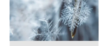 Event-Image for 'Calm your Vata'