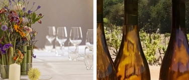 Event-Image for 'Chilenisches Weintasting mit Dinnerbegleitung - 7 Gänge'
