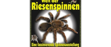 Event-Image for 'King Baboon Tarantula Welt der Riesenspinnen'