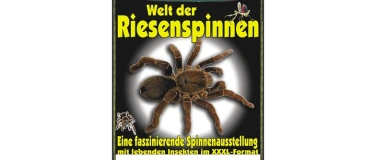 Event-Image for 'King Baboon Tarantula Welt der Riesenspinnen'