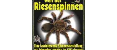 Event-Image for 'King Baboon Tarantula Welt der Riesenspinnen'
