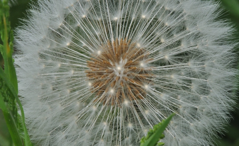 Atem &amp; Bewegung Tickets