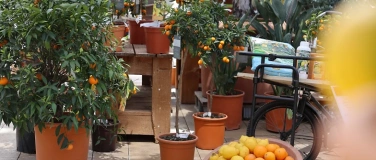 Event-Image for 'Citrus World'