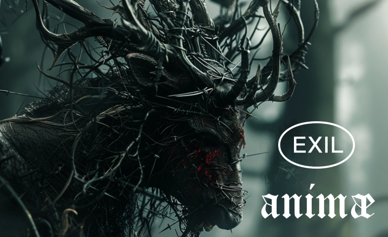 Animae Exil, Hardstrasse 245, 8005 Zurich Billets