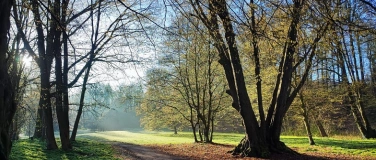 Event-Image for '17. Tag der Parks und G&auml;rten'