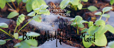 Event-Image for 'Stiftsgarten Stand am B&auml;rner Wildplanzen M&auml;rit 2026'