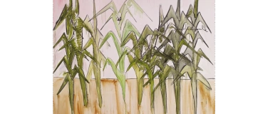 Event-Image for 'Rundgang im Dialog (franz&ouml;sisch)'