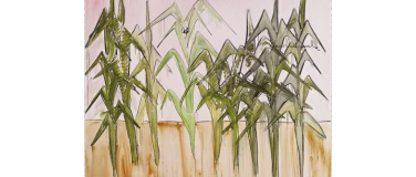 Event-Image for 'Schlosskonzerte'