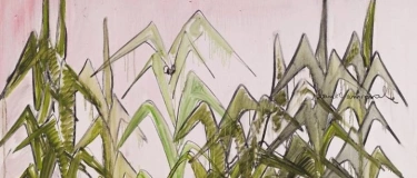 Event-Image for 'Laien forschen mit &ndash; Der Artenvielfalt auf der Spur'