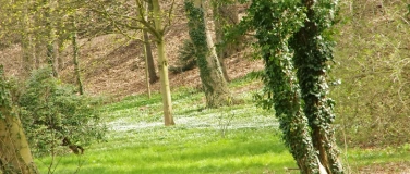 Event-Image for '16. Tag der Parks und Gärten im Dresdner Heidebogen'