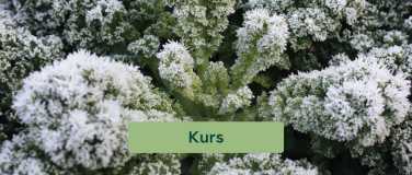 Event-Image for 'ProSpecieRara Kurs: Wintergem&uuml;se f&uuml;r Balkon und Garten'