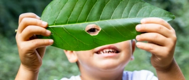 Event-Image for 'Abenteuerliche Waldwoche in den Sommerferien'
