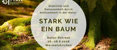 Event-Image for 'Natur-Retreat "Stark wie ein Baum"'
