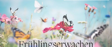 Event-Image for 'Frühlingserwachen - Tages Retreat'