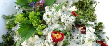 Event-Image for 'Kr&auml;uterrundgang "Fr&uuml;hlingserwachen"'