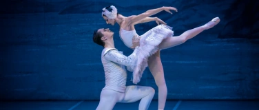 Event-Image for 'Schwanensee - International Festival Ballet'