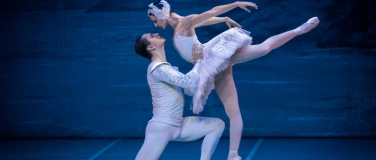 Event-Image for 'Schwanensee - Festival Ballet & Festival Orchestra'