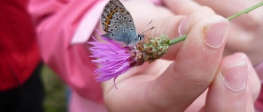 Event-Image for 'Mit Kindern die Wiese erkunden und Artenvielfalt entdecken'