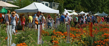 Event-Image for '14. Gartenmarkt "Sommer-Blüten-Träume"'