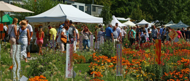 Event-Image for '15. Gartenmarkt "Sommer-Blüten-Träume"'