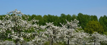 Event-Image for 'Schaf, Steinkauz, Streuobstwiese - After Work Dinner'