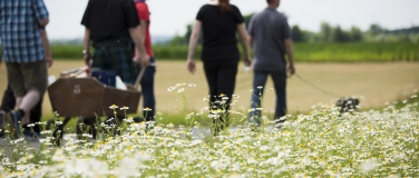Event-Image for 'Whiskywanderung – Rund um den Flugplatz Hangelar'