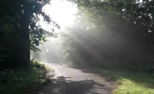 Die Natur als Spiegel der Seele Naturcamp Nahetal, Bergstrasse, 55569 Monzingen Tickets