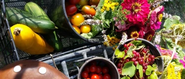 Event-Image for 'Vortrag Saatgut gewinnen im eigenen Gem&uuml;se- und Blumengarten'