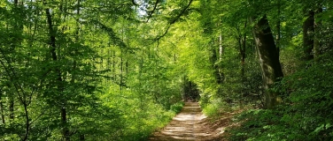 Event-Image for 'Waldbaden – Entspannen mit der Kraft der Natur'