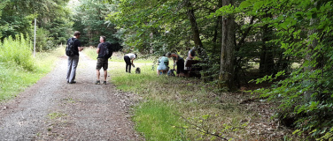 Event-Image for 'Walkabout - die Reise zu deiner Natur'