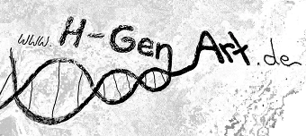 Event organiser of Open Stage im Kunstspeicher Stavenhagen