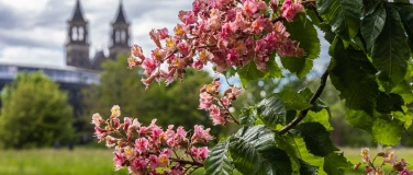 Event-Image for 'ChorVesper mit der Dessauer Kantorei'