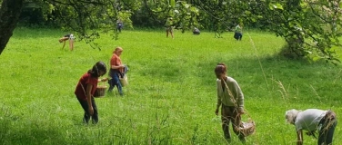 Event-Image for 'Wildkr&auml;uterspaziergang mit Sarah Moritz'