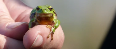 Event-Image for 'Abenteuer Symbiose'