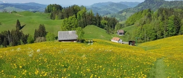 Event-Image for 'Pilgertag auf dem Jakobsweg: Schwellbrunn - St. Peterzell'