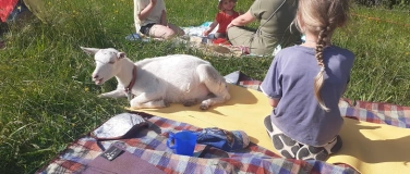 Event-Image for 'Ziegenyoga für Kinder (und auch Erwachsene)'