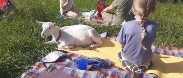 Event-Image for 'Ziegenyoga für Kinder und auch Erwachsene'