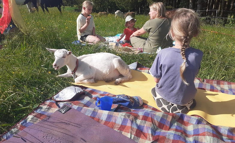 Ziegenyoga f&uuml;r Kinder (und auch Erwachsene) Billets