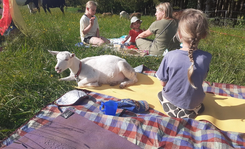 Event-Image for 'Ziegenyoga für Kinder (und auch Erwachsene)'